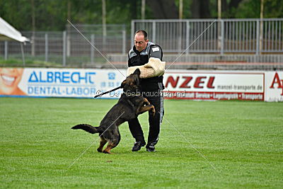 Lee Roy ze Stribrneho kamene