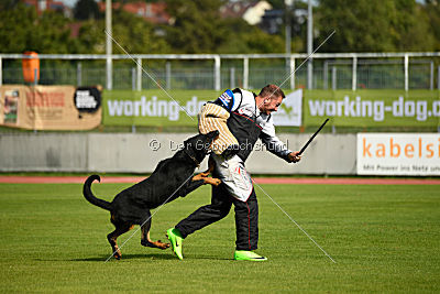 Legende Garde de la Vie