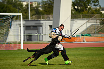 Legende Garde de la Vie