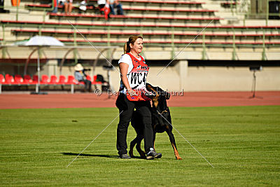 Legende Garde de la Vie