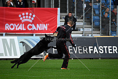 Lelaurier Koh I Noor