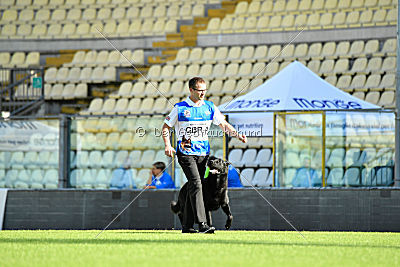 Lelaurier Koh I Noor