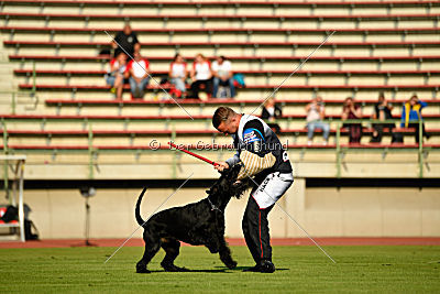 Lennox Lewis Goldest Danubius