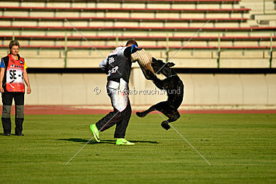 Lennox Lewis Goldest Danubius