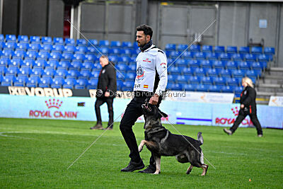 Leo de Jardines del Real