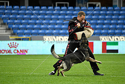 Leo de Jardines del Real