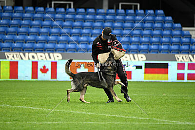 Leo de Jardines del Real