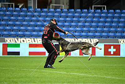 Leo de Jardines del Real
