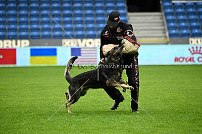 Leo de Jardines del Real