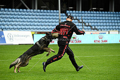 Leo de Jardines del Real