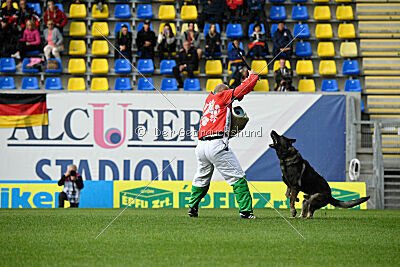 Leo de Jardines del Real