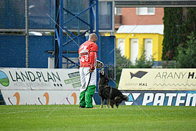 Leo de Jardines del Real