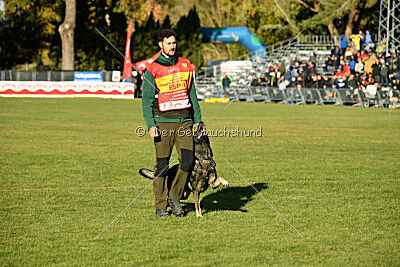 Leo de Jardines del Real