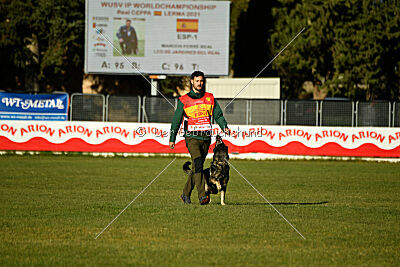 Leo de Jardines del Real