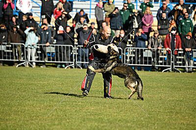 Leo de Jardines del Real