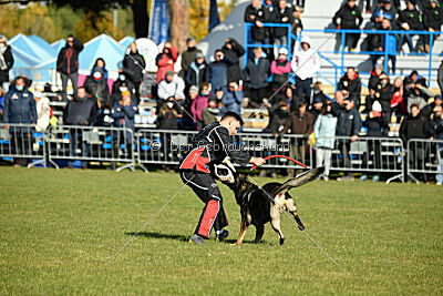 Leo de Jardines del Real