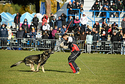 Leo de Jardines del Real