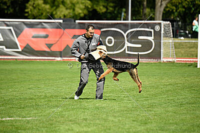 Leonas von der Heinrichsburg