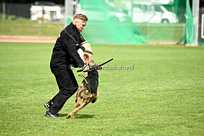 Leonas von der Heinrichsburg