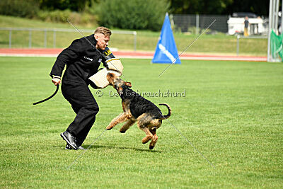 Leonas von der Heinrichsburg