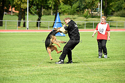 Leonas von der Heinrichsburg