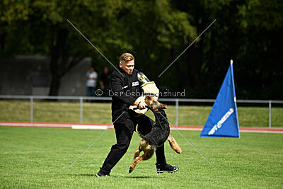 Leonas von der Heinrichsburg