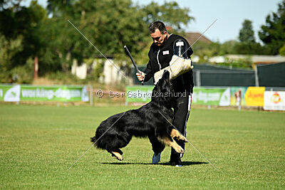 Lerros vom Rungenberg
