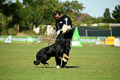 Lerros vom Rungenberg