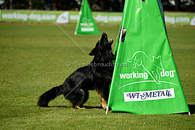 Lerros vom Rungenberg