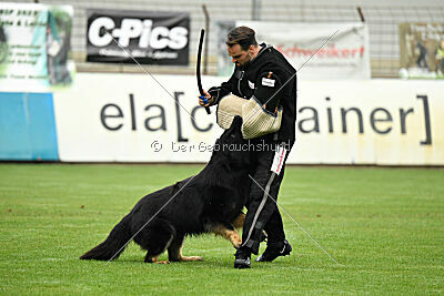 Lerros vom Rungenberg