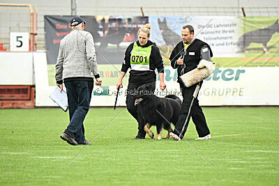 Lerros vom Rungenberg