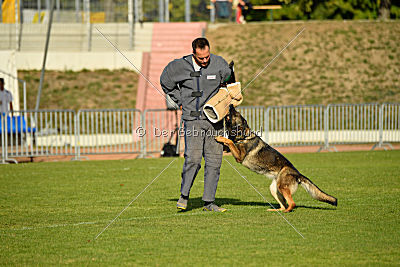 Leska vom Mühlenknapp