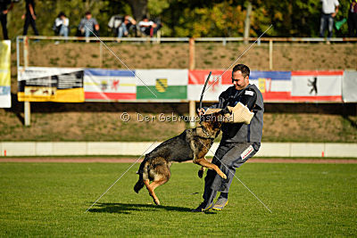 Leska vom Mühlenknapp
