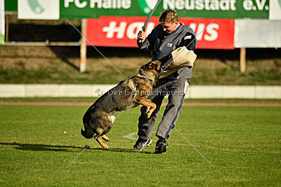 Leska vom Mühlenknapp