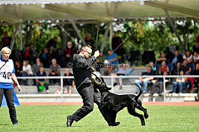 Leto Laran Goldest Danubius