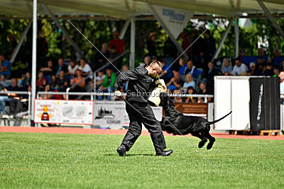 Leto Laran Goldest Danubius