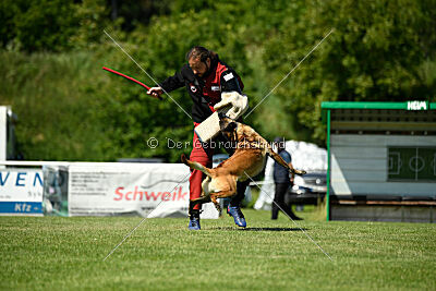 Lexus-Silvester vom Lausitzeck