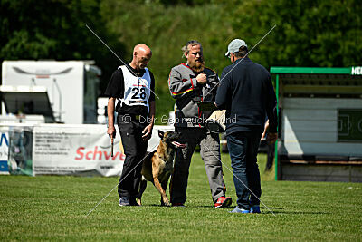 Lexus-Silvester vom Lausitzeck