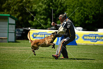 Lexus-Silvester vom Lausitzeck