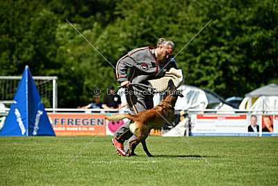 Lexus-Silvester vom Lausitzeck