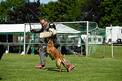 Lexus-Silvester vom Lausitzeck