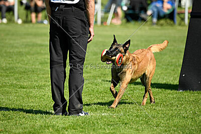 Lexus-Silvester vom Lausitzeck