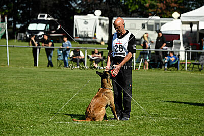 Lexus-Silvester vom Lausitzeck