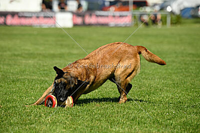 Lexus-Silvester vom Lausitzeck