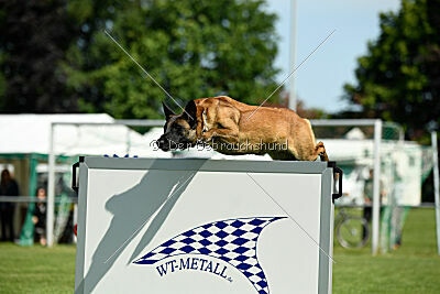 Lexus-Silvester vom Lausitzeck