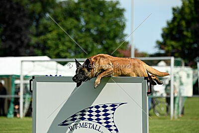 Lexus-Silvester vom Lausitzeck