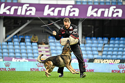 Life vom Kämpferherz