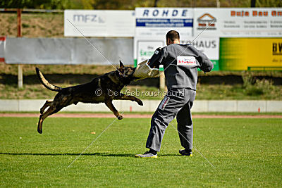 Little Joe von Trogida