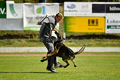 Little Joe von Trogida