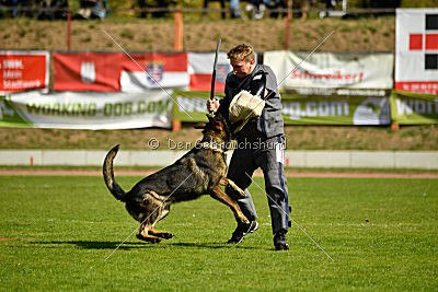 Little Joe von Trogida